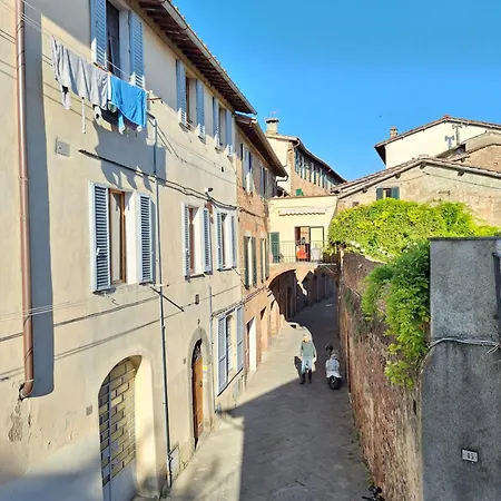 Il 